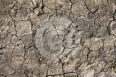 Drought land Stock Photo