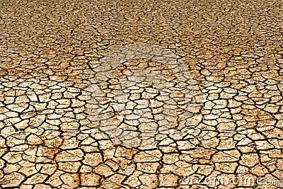 Drought land Stock Photo