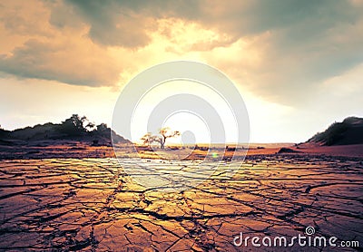 Drought land Stock Photo