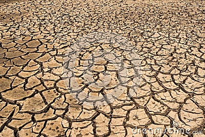 Drought land Stock Photo