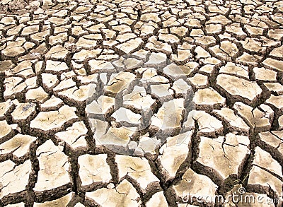 Drought-parched soil Stock Photo
