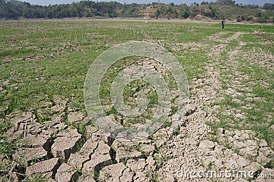 Drought Editorial Stock Photo