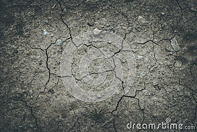 Drought in summer: fractured ground on an agriculture field Stock Photo