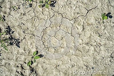 Drought Stock Photo