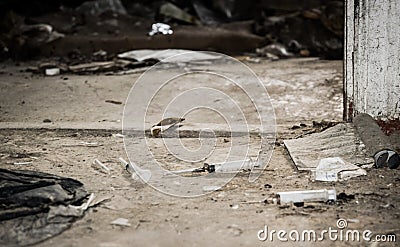 Old abandoned house and used plastic syringes. The problem of drug addiction in society Stock Photo