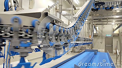 Drukmachines in de pluimveeverwerkende industrie Productielijn voor kippenvlees Verwerkingsbedrijf voor pluimvee transportband vo stock videobeelden Drukmachines in de pluimveeverwerkende industrie Productielijn voor kippenvlees Verwerkingsbedrijf voor pluimvee transportband vo stock videobeelden