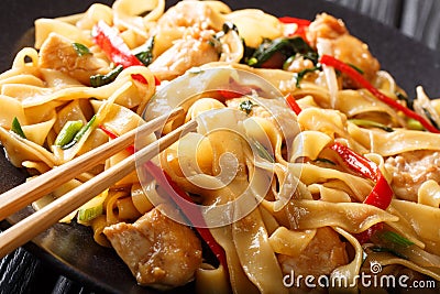 Drunken noodles pad kee mao with chicken, basil, chili pepper and sauce close-up on a plate. horizontal Stock Photo