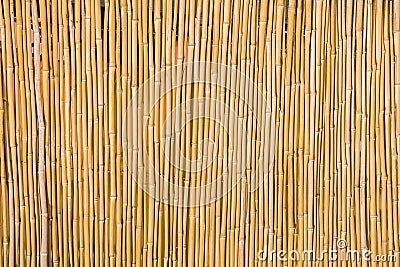 Dry bamboo natural background texture Stock Photo