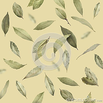 Dry bay leaves falling on pale goldenrod background Stock Photo