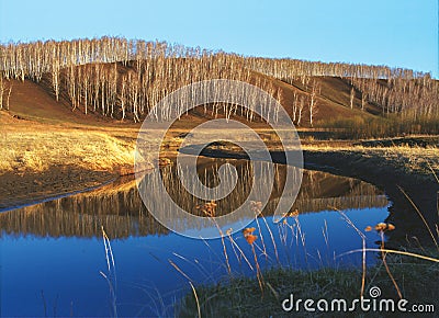 Birches reflected in the blue surface of the water 2 Stock Photo