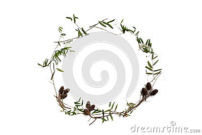 Dry blades of grass and bumps - autumn herbarium, flat dried Stock Photo