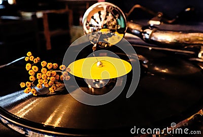 A dry branch of tansy lies on the plate of an old gramophone, close-up Stock Photo