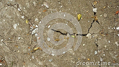 Dry brown cracking dirt riddled with stones and pebbles top view graphic texture template Stock Photo