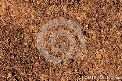 Dry brown earth surface as background Stock Photo