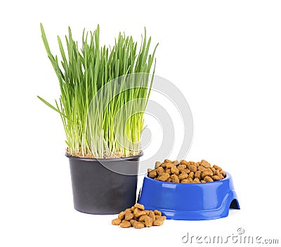 Dry cat food in a blue bowl. Fresh grass for cats. Isolated on white background Stock Photo