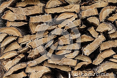 Dry Cedar Lighting Firewood Texture Stock Photo