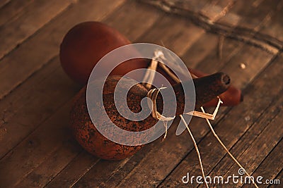 Dry Chinese bottle gourd as traditional water container Stock Photo