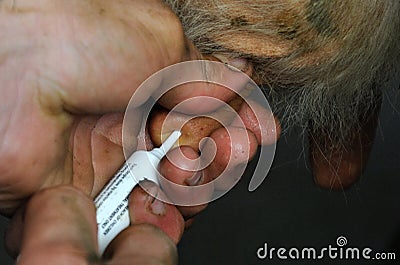 Dry cow therapy Stock Photo