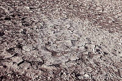 Dry cracked barren land. Stock Photo