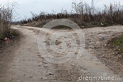 Dry Cracked Dirt Road Splitting to Two Sides Stock Photo