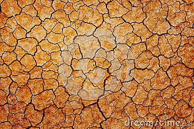 Dry cracked earth Stock Photo