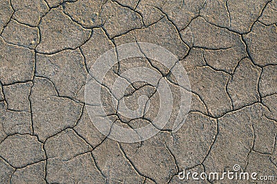 Dry cracked earth. Cracks in the ground closeup Stock Photo