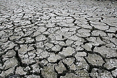 Dry cracked earth Stock Photo