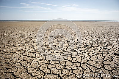 Dry cracked earth Stock Photo