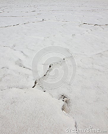 Dry cracked Great Salt Lake. Texture. Utah, USA Stock Photo