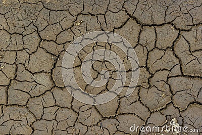 Dry cracked grey earth background Stock Photo