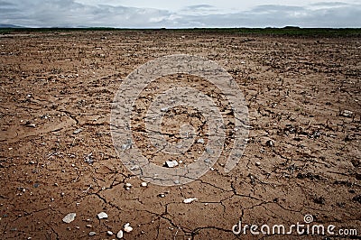 Dry and cracked ground. Stock Photo