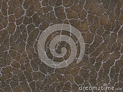 Dry cracked ground texture. abstract relief pattern Stock Photo
