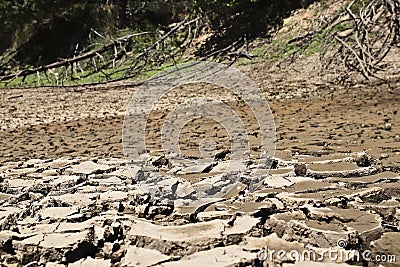 Dry cracked river bed in South Africa. Drought concept Stock Photo