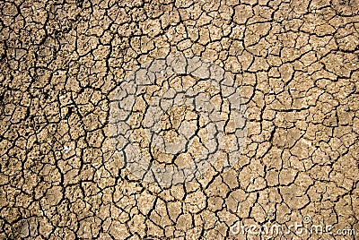 Dry cracked soil during drought Stock Photo