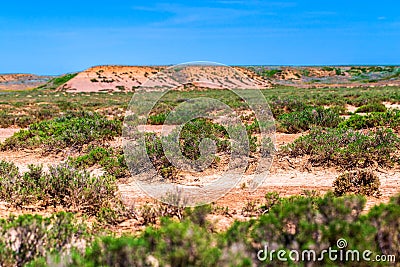 Dry cracked takir soil in semi-desert in Russia. Nature landscape Stock Photo