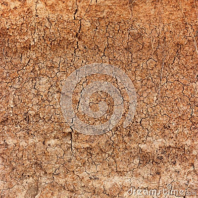 Dry, Cracking Clay Soil in Extreme Closeup Stock Photo