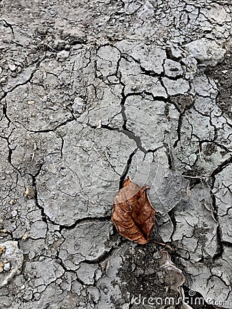 Dry cracking earth Stock Photo