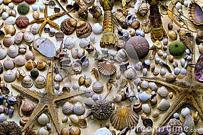 Dry Decorative Seashells Stock Photo