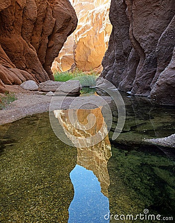 Canyon in desert Stock Photo