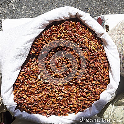 dry dried pepper Stock Photo