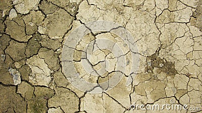 Dry Earth Stock Photo