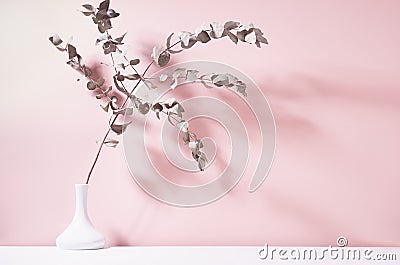 Dry eucalyptus branch in white ceramic vase in bright sunlight with shadow on pastel pink wall. Elegant home decor in simple calm. Stock Photo