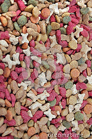Dry feed for pets Stock Photo