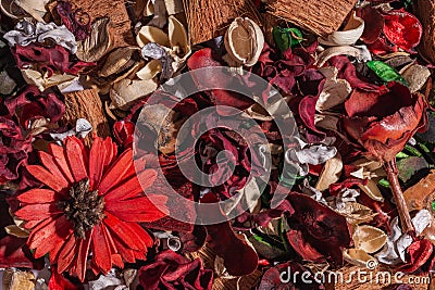 Dry field flowers. Top view- flat still life Stock Photo