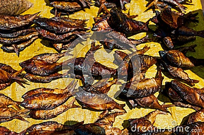 Local dry fish drying under cameroun sun in open air street market Stock Photo
