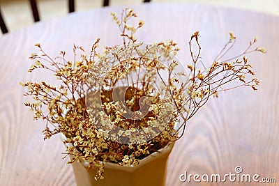 Dry Flower decoration in the Coffee shop Stock Photo