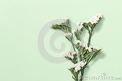 Dry flowers Limonium, leaves and small blossom, natural flowery background Stock Photo