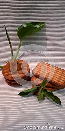 dry fruits mixture made biscuits isolated with green leaf at white background Stock Photo