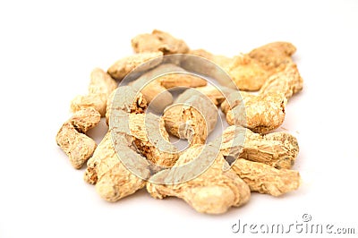 Dry ginger root white back pictures Stock Photo