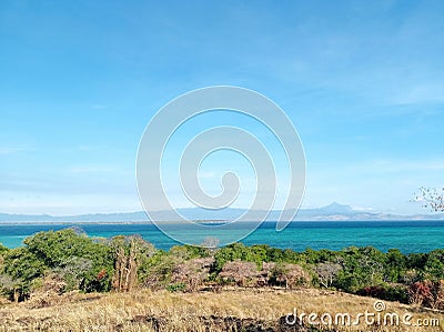 Dry grass with clear blue sea on the backgr Stock Photo